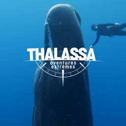 Thalassa - France Télévisions