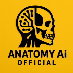 Anatomy Ai Official
