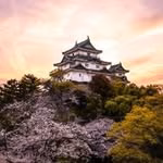 和歌山城公式アカウント（wakayama castle）
