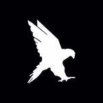BLACK FALCON