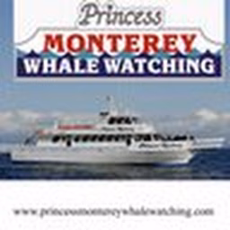 Princess Monterey