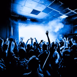 The Best Dj Mixes & Bootleg Remixes