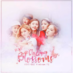 Cherry Blossoms G I-DLE Vietnam