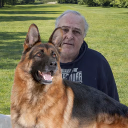 Hunde SOFORT Hilfe 