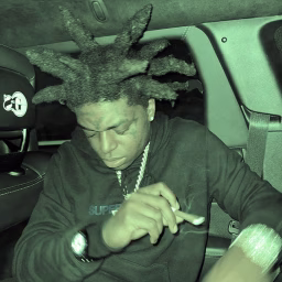 Kodak Dux
