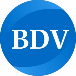 BDV Solutions