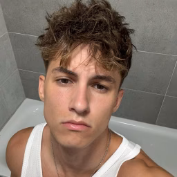 Dodo Reakce