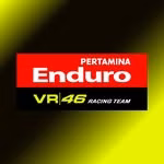 Pertamina Enduro VR46 Racing Team