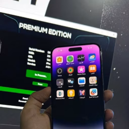 Gsm Asia 