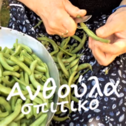 Anthoula homemade