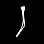 The Golfer's Journal