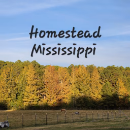Homestead Mississippi