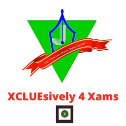 XCLUEsively 4 Xams