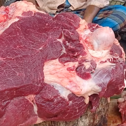 Butcher Knife