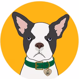CBD DOG HEALTH
