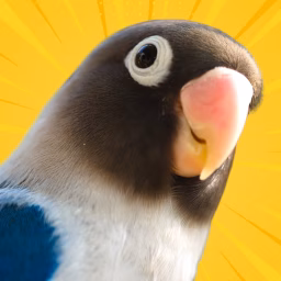Pet Birds Awesomeness