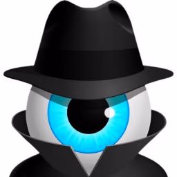 Eye Spy Audit