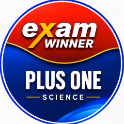 Exam Winner Plus One