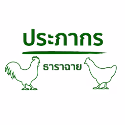 Korn MJU (กุ๊กไก่)