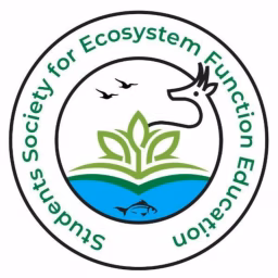 Biodiversity-Ecosystem Function