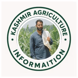 Kashmir Agriculture information