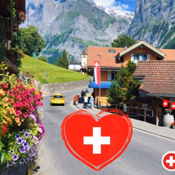 Swiss View