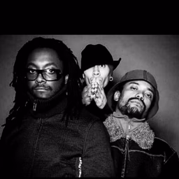 Black Eyed Peas Library