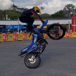 Musingo Stunt