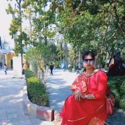 Sirohi Family vlog