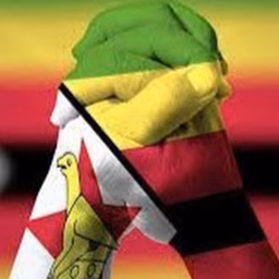 Zim Trends Daily 🇿🇼