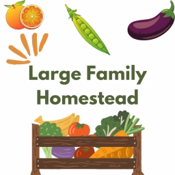 Large Family Homestead