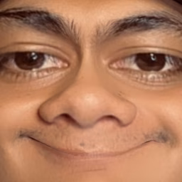 SASKEH SERIES