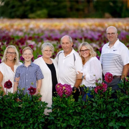 Swan Island Dahlias