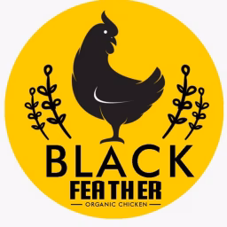 Kadaknath Delhi RB Organic Farms