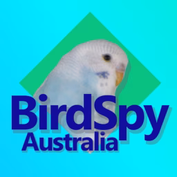 Bird Spy Australia