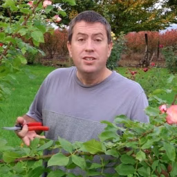 Fraser Valley Rose Farm