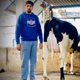 KS DAIRY FARM