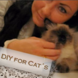 DIY for CATs by Bodensee Birmas