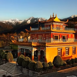 Deer Park Institute 