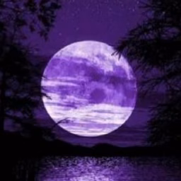 Moon Stories