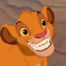 TheDisneyZing