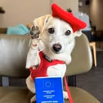 Elko! the Travel Dog