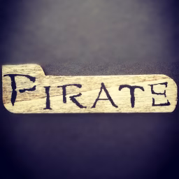 PIRATE CUSTOM GUITAR