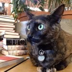 Skylight Books