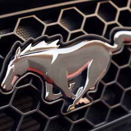 Ford Mustang Club
