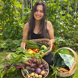 Diary of a Yorkshire Gardener