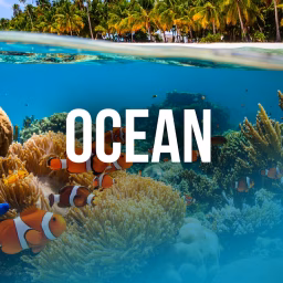 Free Documentary - Ocean