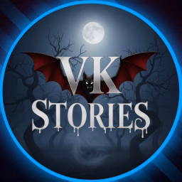 VK Stories