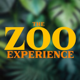 The Zoo Experience