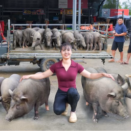 Phương Free Life